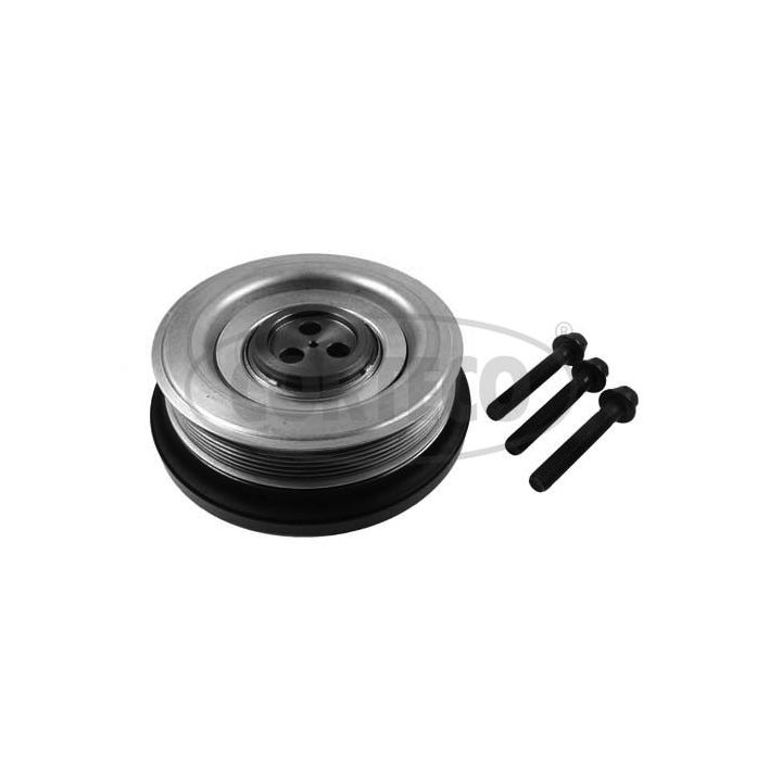 Alkūninio veleno skriemulių rinkinys CORTECO 49419112