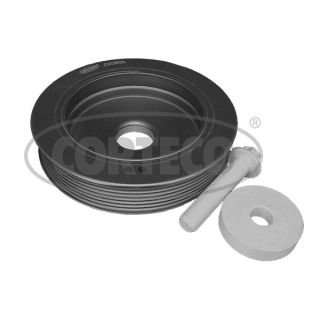 Alkūninio veleno skriemulių rinkinys CORTECO 49444029