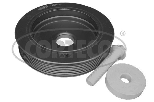 Alkūninio veleno skriemulių rinkinys CORTECO 49444029