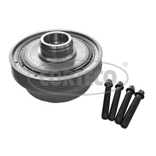 Alkūninio veleno skriemulių rinkinys CORTECO 49444032