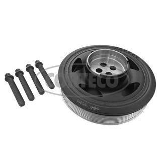 Alkūninio veleno skriemulių rinkinys CORTECO 49444033