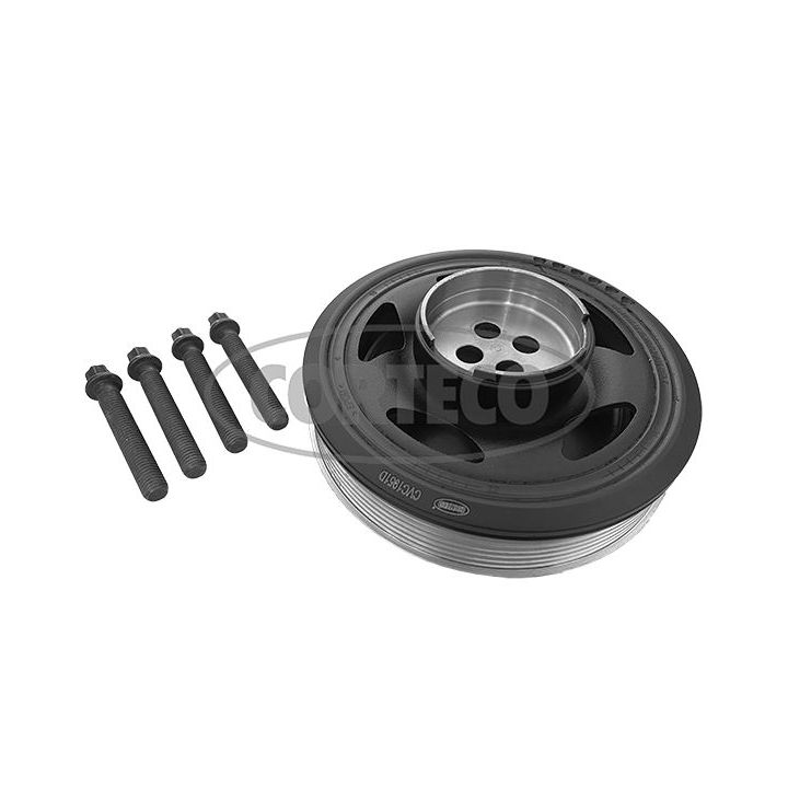 Alkūninio veleno skriemulių rinkinys CORTECO 49444033