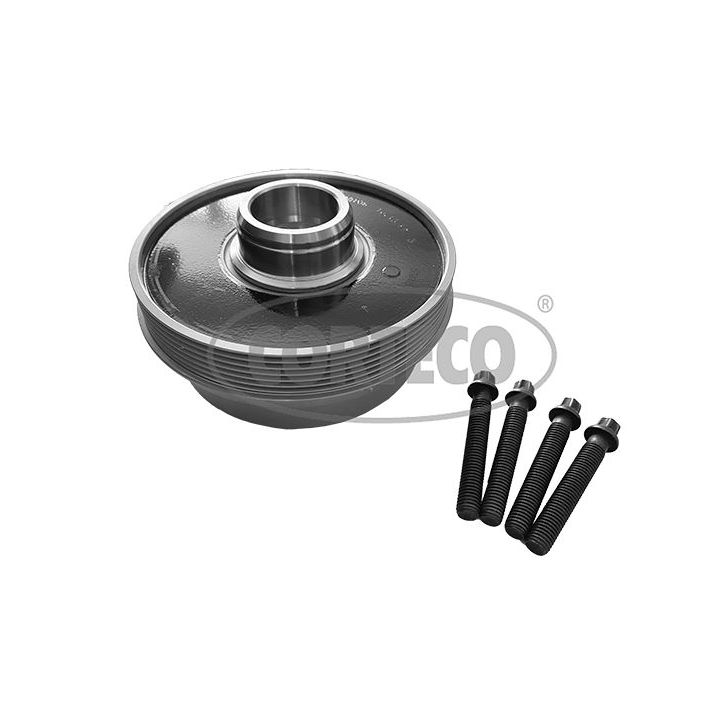 Alkūninio veleno skriemulių rinkinys CORTECO 49444034