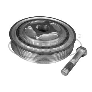 Alkūninio veleno skriemulių rinkinys CORTECO 49444036