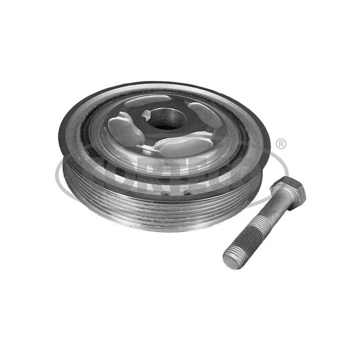 Alkūninio veleno skriemulių rinkinys CORTECO 49444036