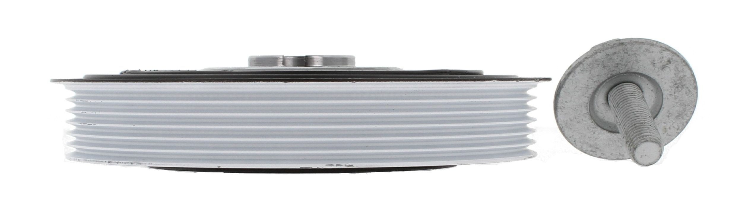 Alkūninio veleno skriemulių rinkinys CORTECO 80001812