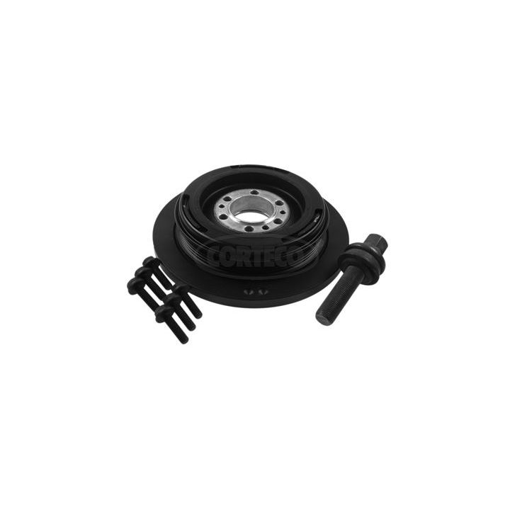 Alkūninio veleno skriemulių rinkinys CORTECO 80001991