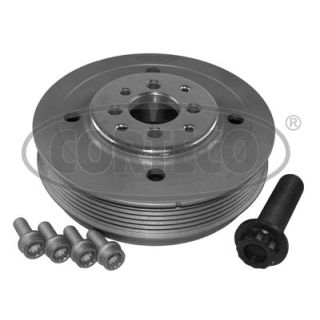 Alkūninio veleno skriemulių rinkinys CORTECO 80004792