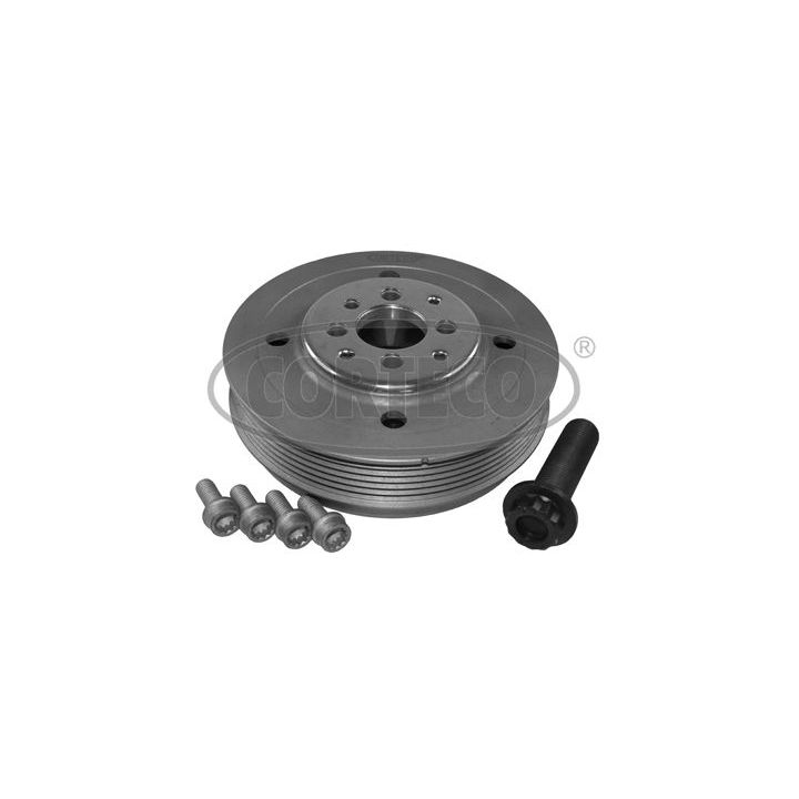 Alkūninio veleno skriemulių rinkinys CORTECO 80004792