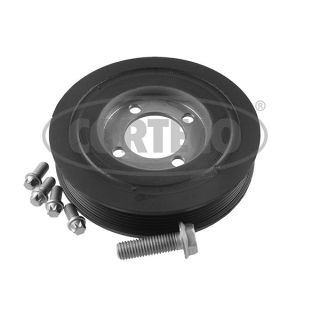 Alkūninio veleno skriemulių rinkinys CORTECO 80004898