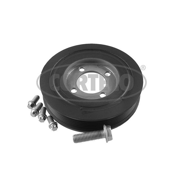 Alkūninio veleno skriemulių rinkinys CORTECO 80004898