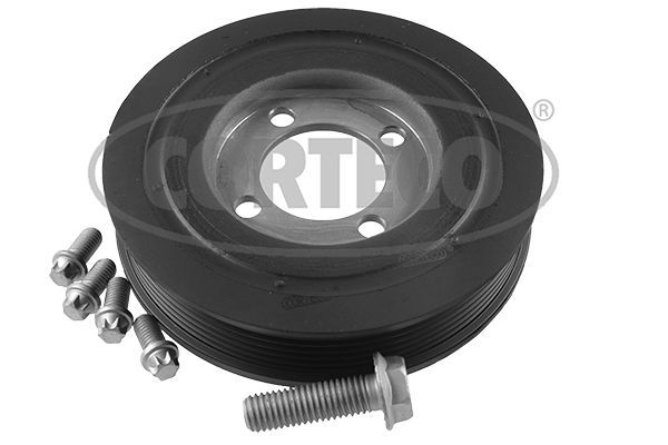 Alkūninio veleno skriemulių rinkinys CORTECO 80004898