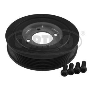 Alkūninio veleno skriemulių rinkinys CORTECO 80004900