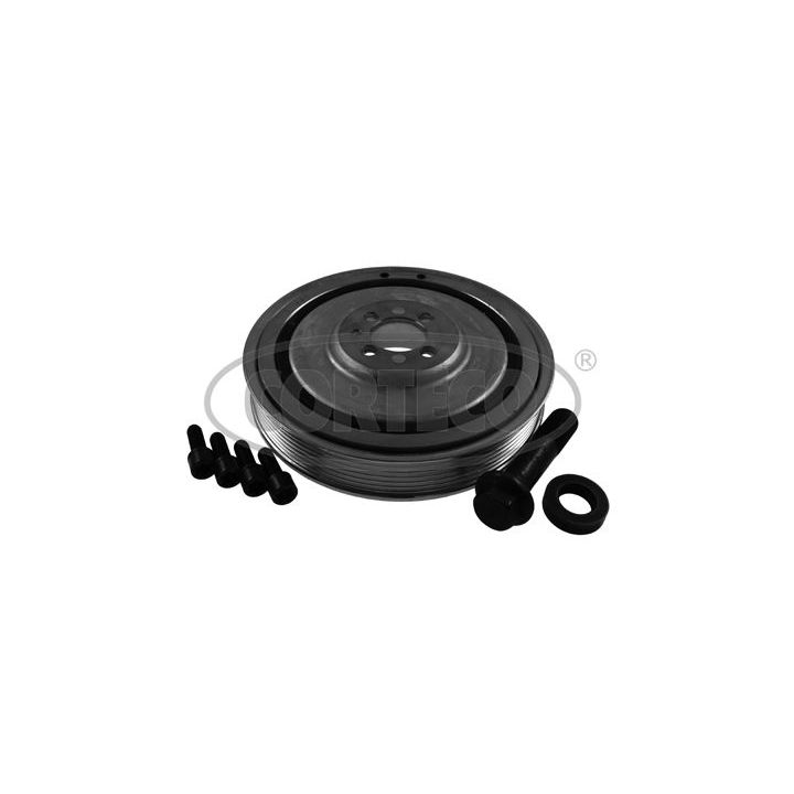 Alkūninio veleno skriemulių rinkinys CORTECO 80004911