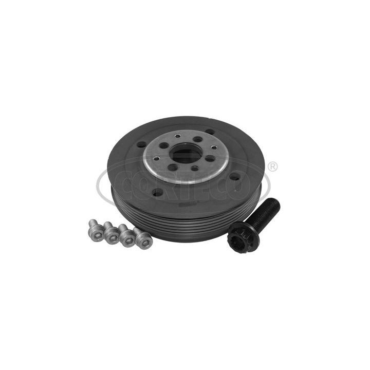 Alkūninio veleno skriemulių rinkinys CORTECO 80004980