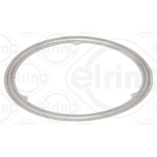 Tarpiklis, išleidimo kolektorius ELRING 888.830