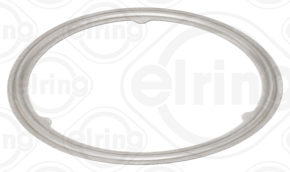 Tarpiklis, išleidimo kolektorius ELRING 888.830