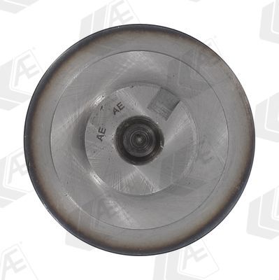 Skirstomasis velenas AE CAM717