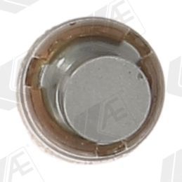 Svirtis/kumštelis AE FOL119