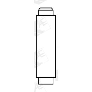 Vožtuvų kreiptuvai AE VAG92288B