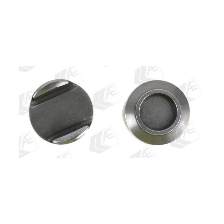 Prispaudimo pagalvėlė, įsiurbimo / išmetimo vožtuvas AE TTP3