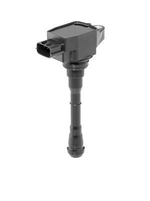 Ritė, uždegimas BorgWarner (BERU) ZSE214