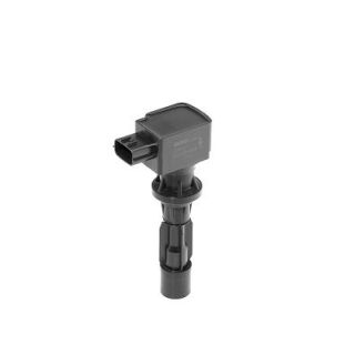 Ritė, uždegimas BorgWarner (BERU) ZSE217