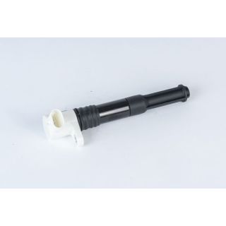 Ritė, uždegimas BorgWarner (BERU) ZSE219