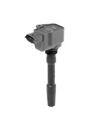 Ritė, uždegimas BorgWarner (BERU) ZSE226