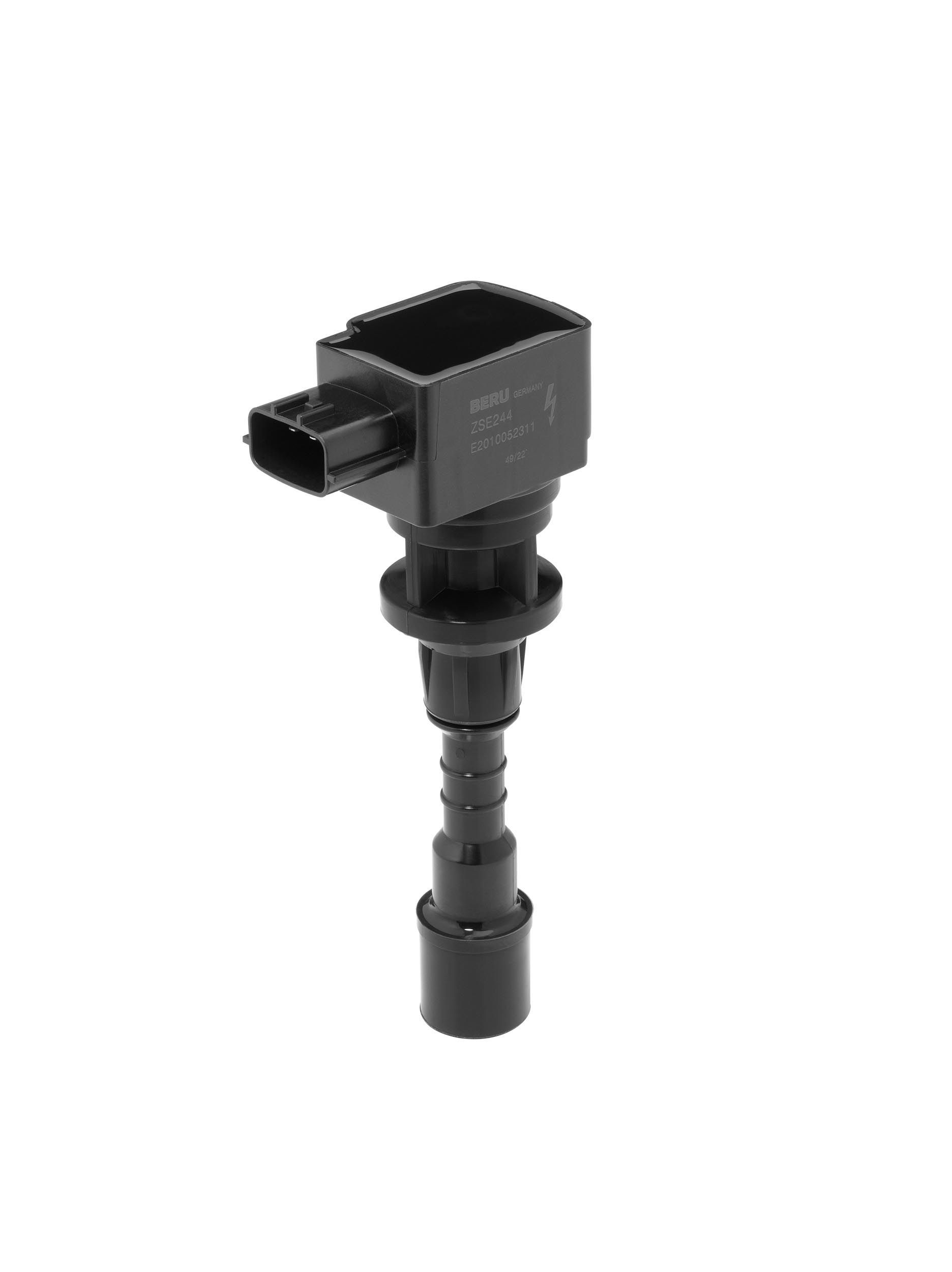 Ritė, uždegimas BorgWarner (BERU) ZSE244