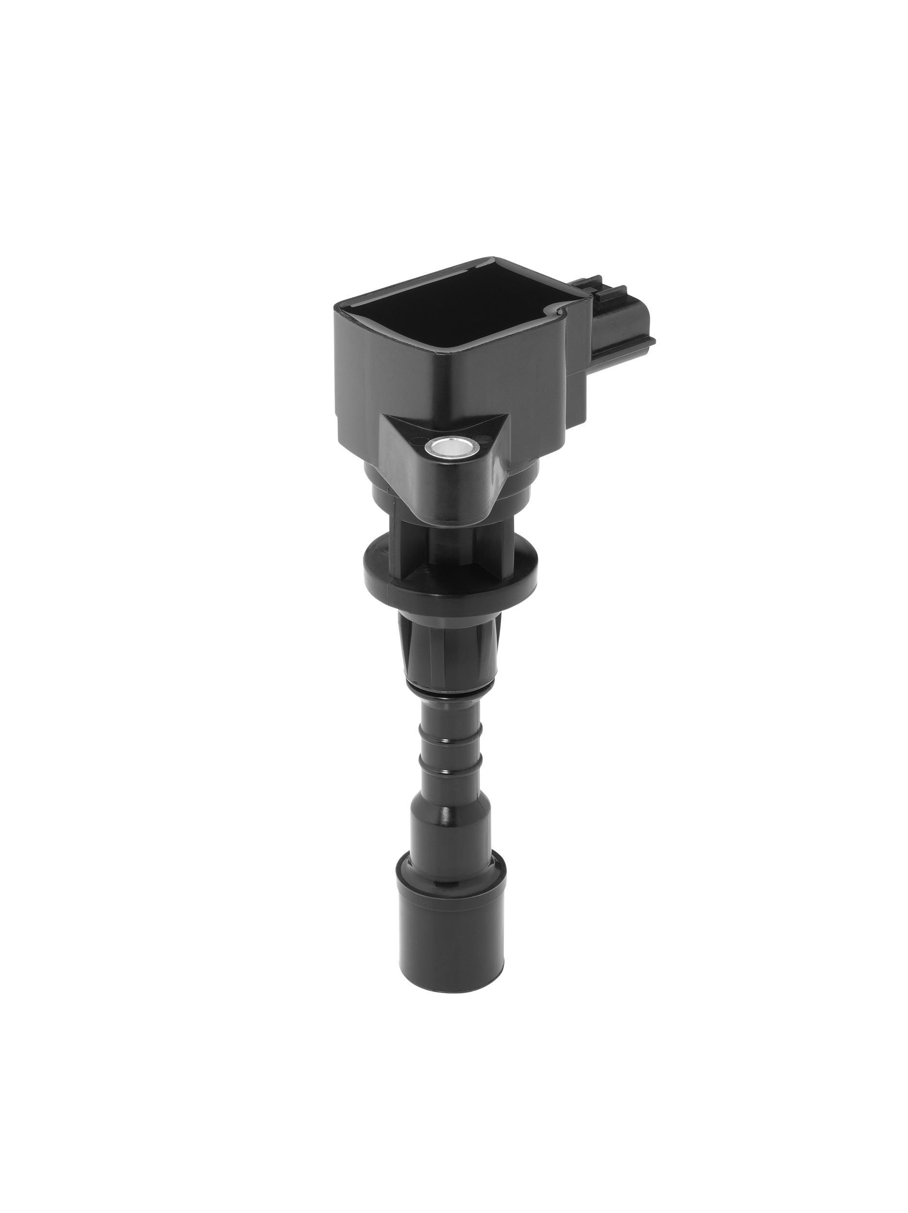 Ritė, uždegimas BorgWarner (BERU) ZSE244