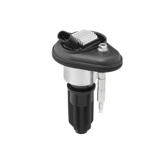 Ritė, uždegimas BorgWarner (BERU) ZSE246