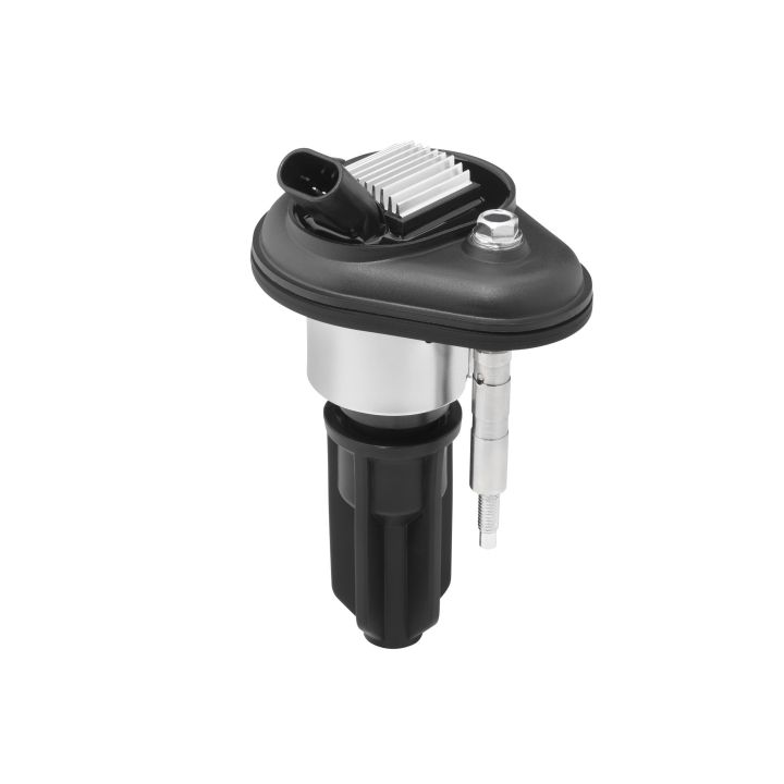 Ritė, uždegimas BorgWarner (BERU) ZSE246