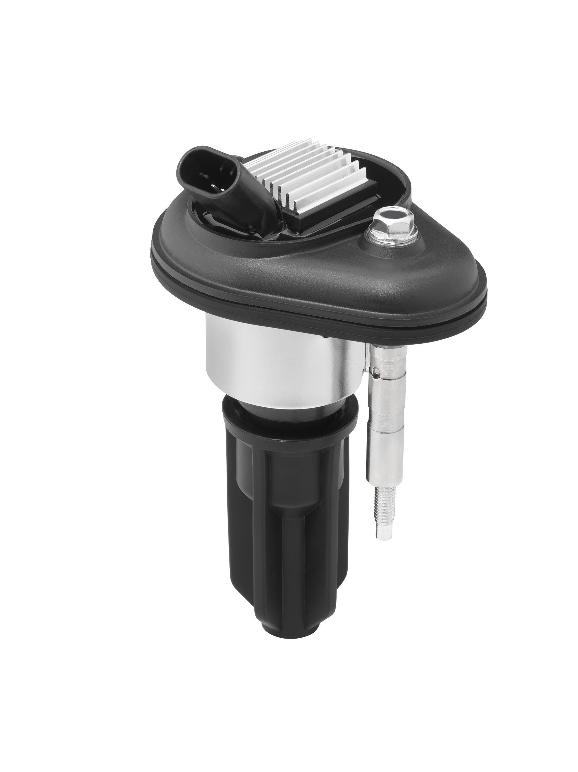 Ritė, uždegimas BorgWarner (BERU) ZSE246