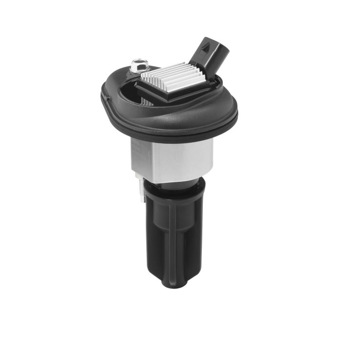 Ritė, uždegimas BorgWarner (BERU) ZSE246