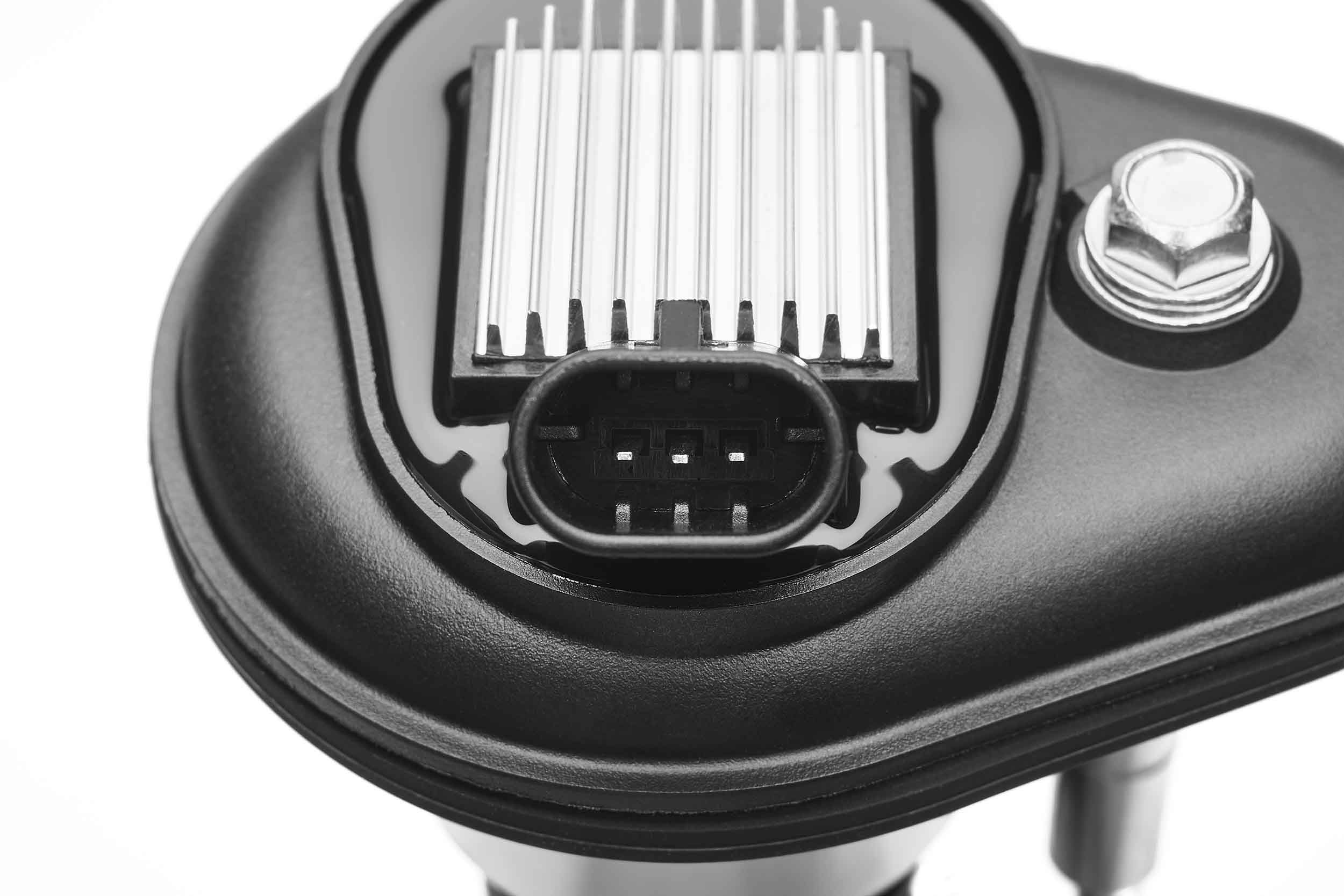 Ritė, uždegimas BorgWarner (BERU) ZSE246