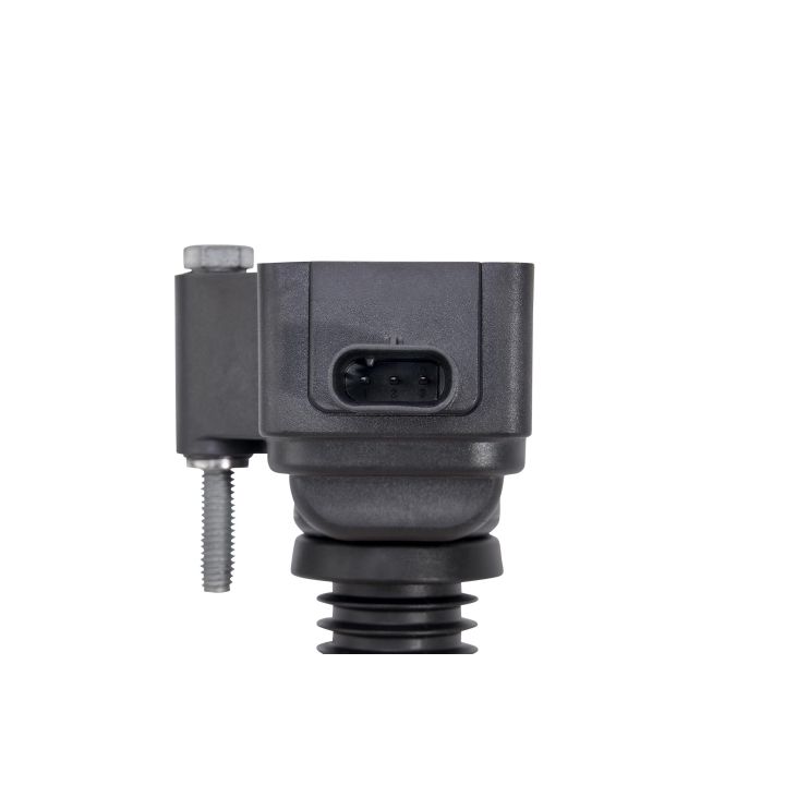 Ritė, uždegimas BorgWarner (BERU) ZSE259