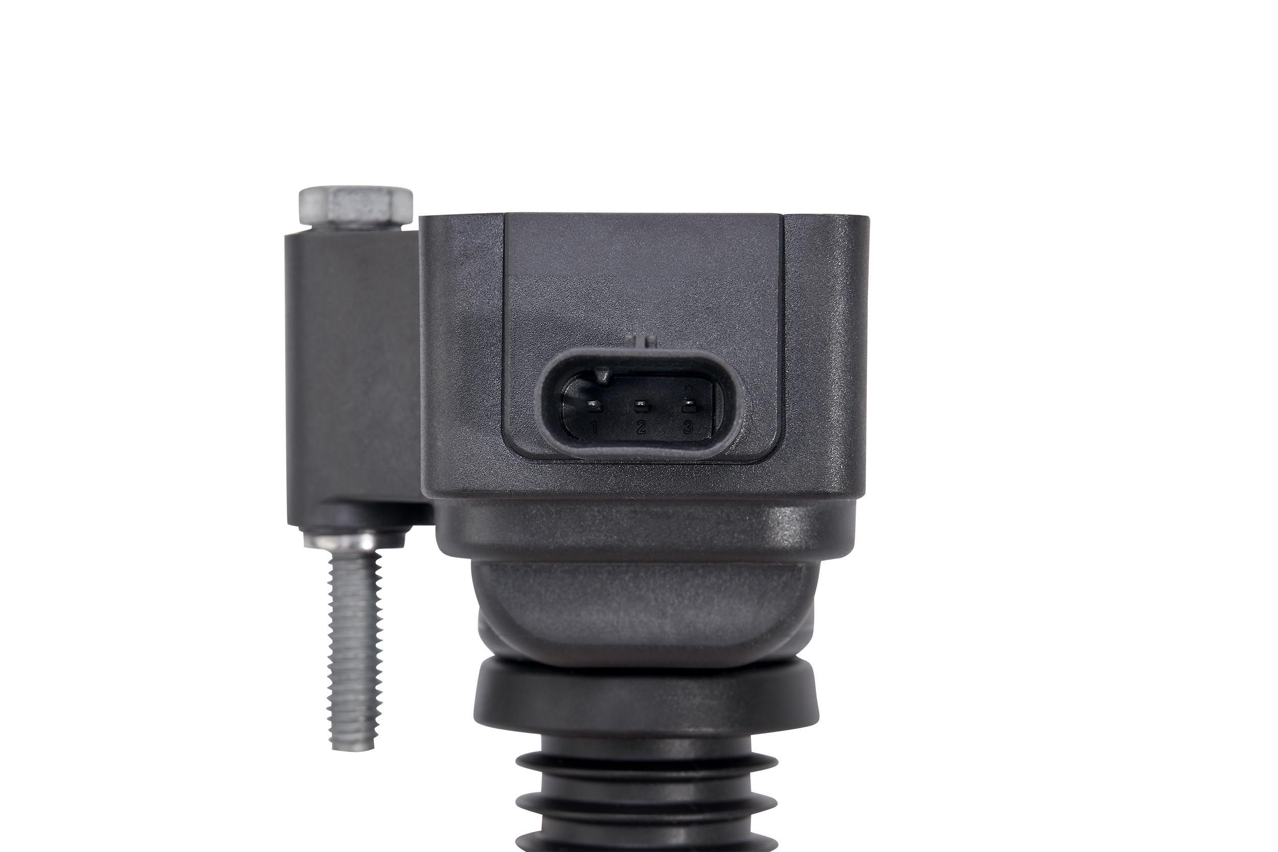 Ritė, uždegimas BorgWarner (BERU) ZSE259