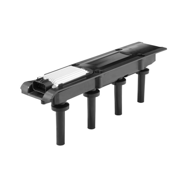 Ritė, uždegimas BorgWarner (BERU) ZSE281