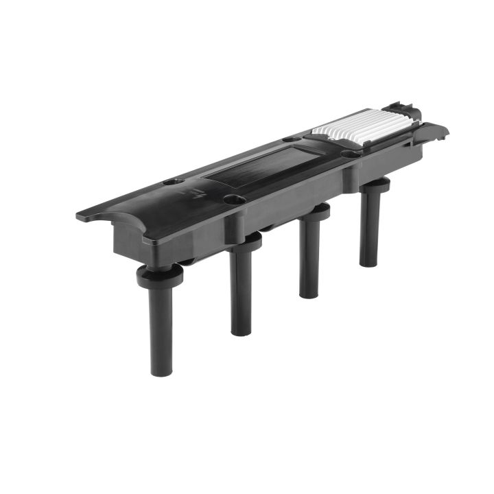 Ritė, uždegimas BorgWarner (BERU) ZSE281