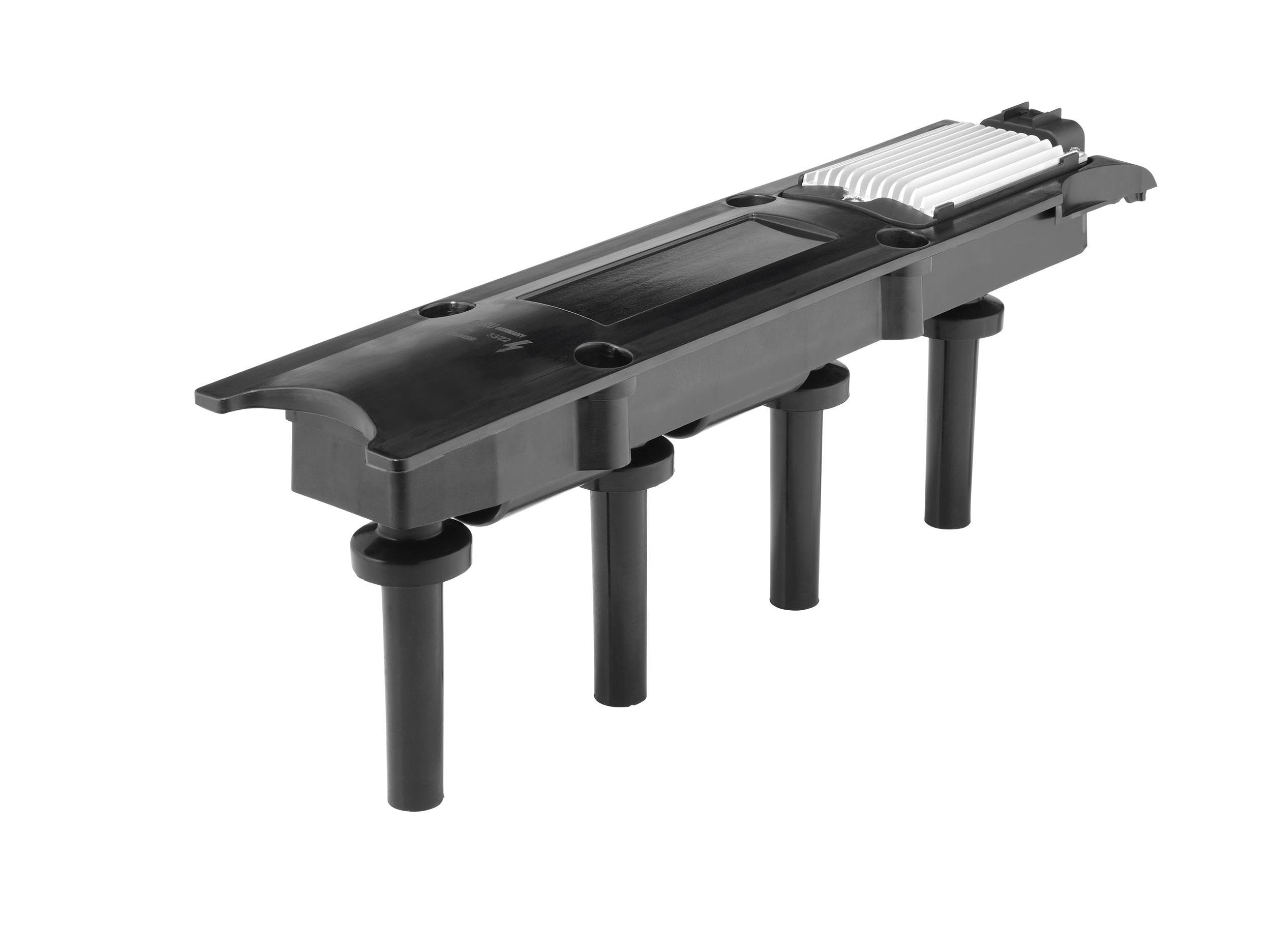 Ritė, uždegimas BorgWarner (BERU) ZSE281