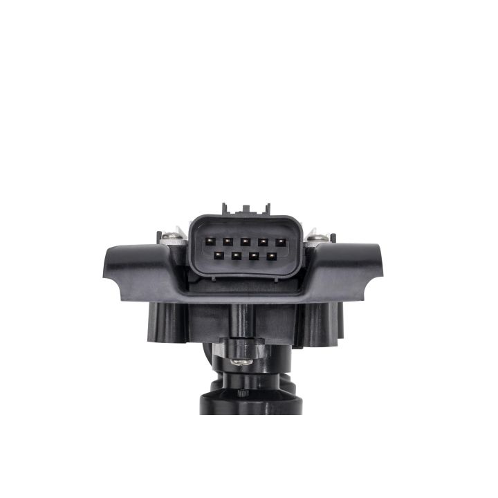 Ritė, uždegimas BorgWarner (BERU) ZSE281