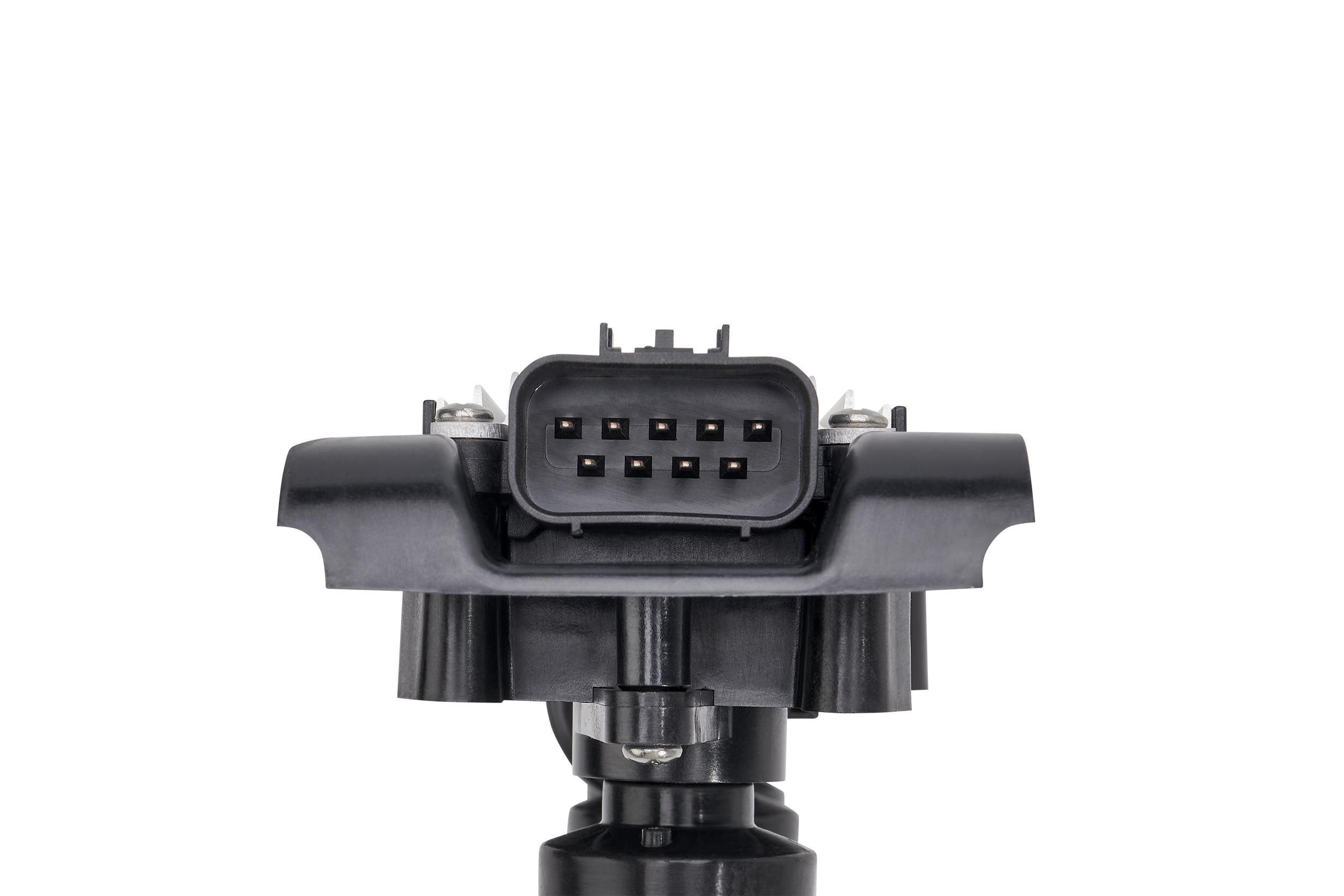 Ritė, uždegimas BorgWarner (BERU) ZSE281