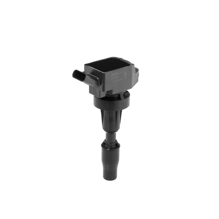 Ritė, uždegimas BorgWarner (BERU) ZSE301