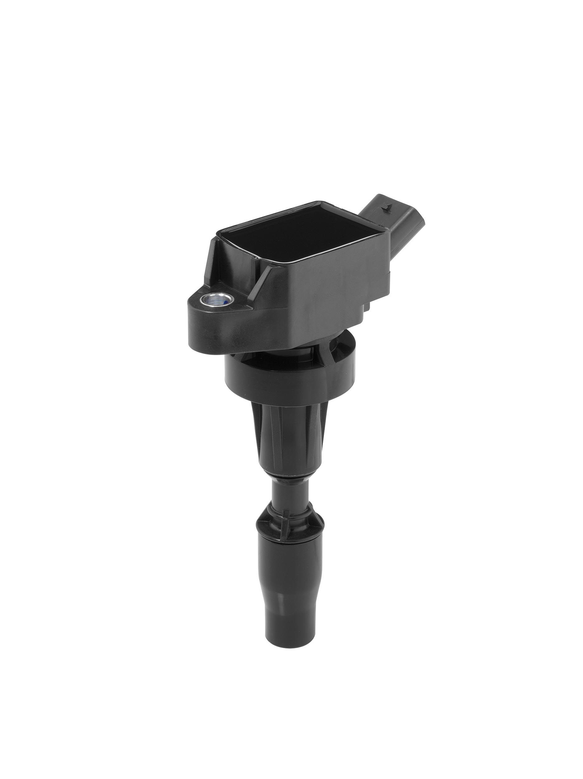 Ritė, uždegimas BorgWarner (BERU) ZSE301