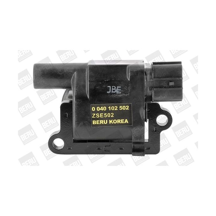 Ritė, uždegimas BorgWarner (BERU) ZSE502