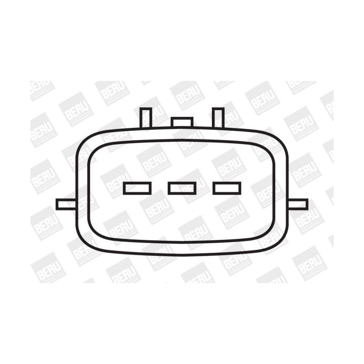 Ritė, uždegimas BorgWarner (BERU) ZSE502