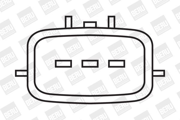 Ritė, uždegimas BorgWarner (BERU) ZSE502