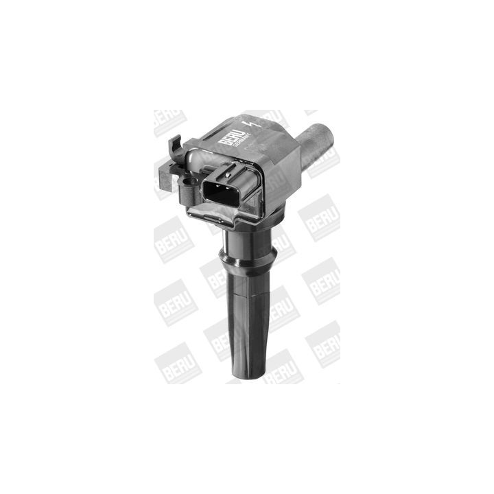 Ritė, uždegimas BorgWarner (BERU) ZSE502