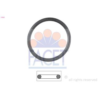 Tarpiklis, termostatas FACET 7.9551